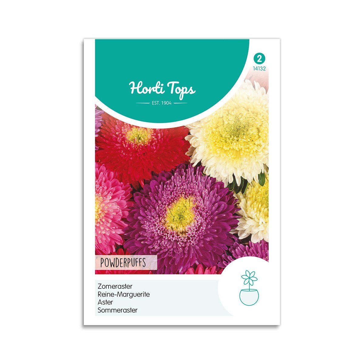 Asters frø mix "Powderpuffs" - Horti Tops