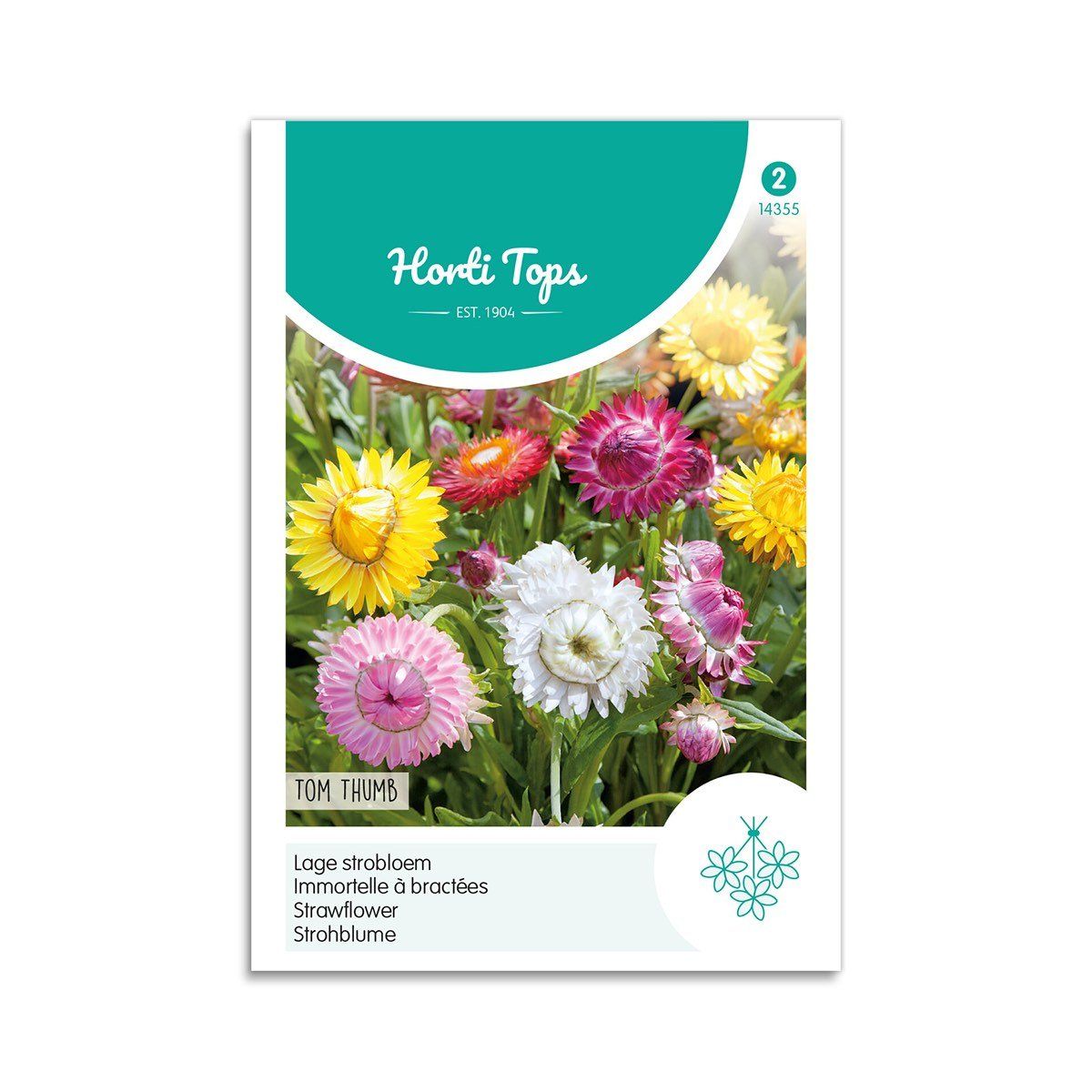 Evighedsblomster frø "Tom Thumb" - Horti Tops