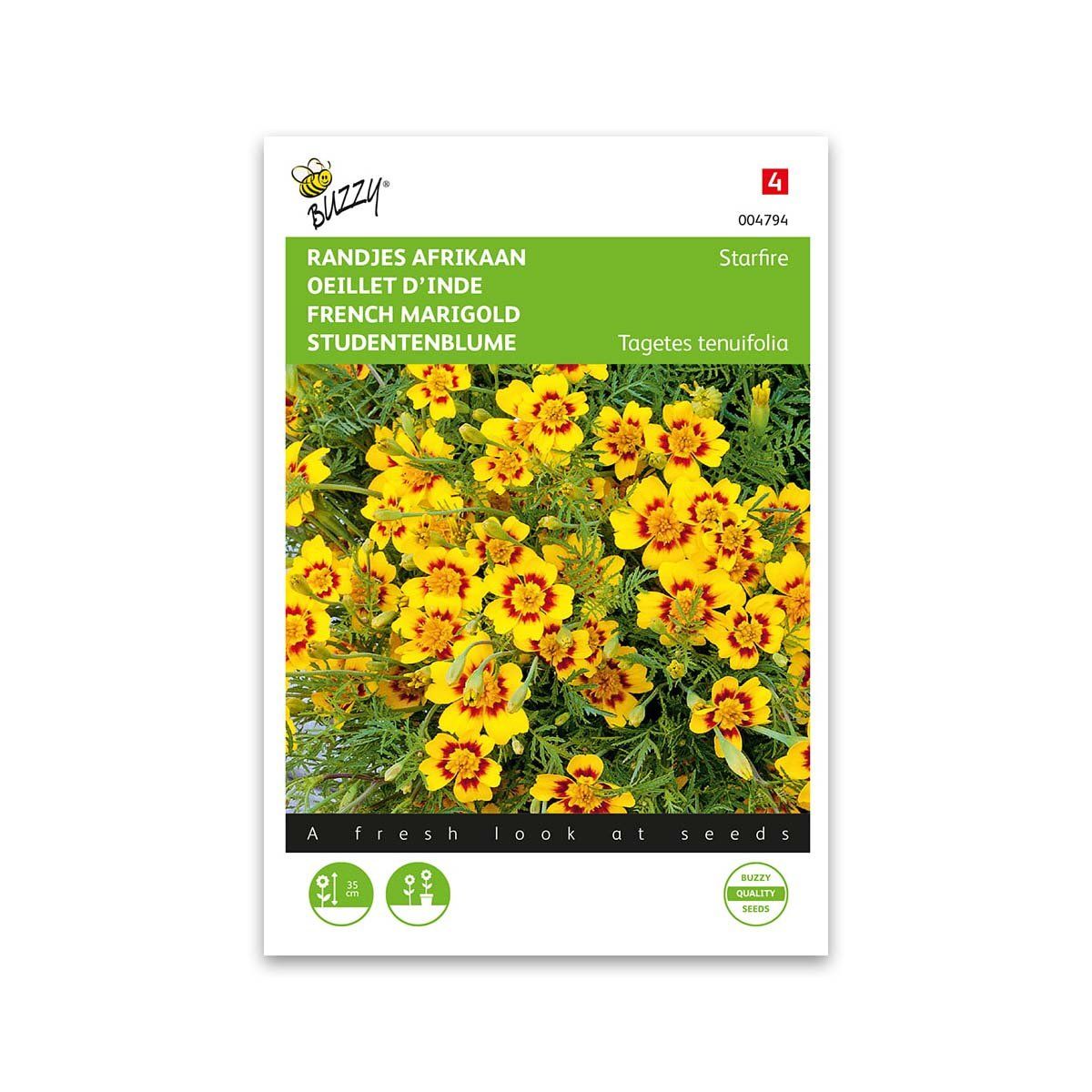 Buzzy® French Marigold Starfire