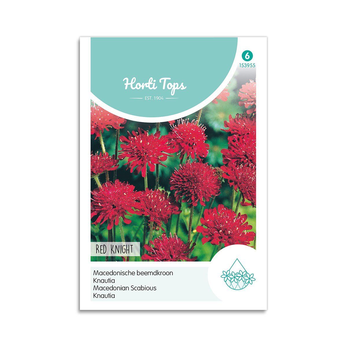 Blåhat frø "Red Knight" - Horti Tops