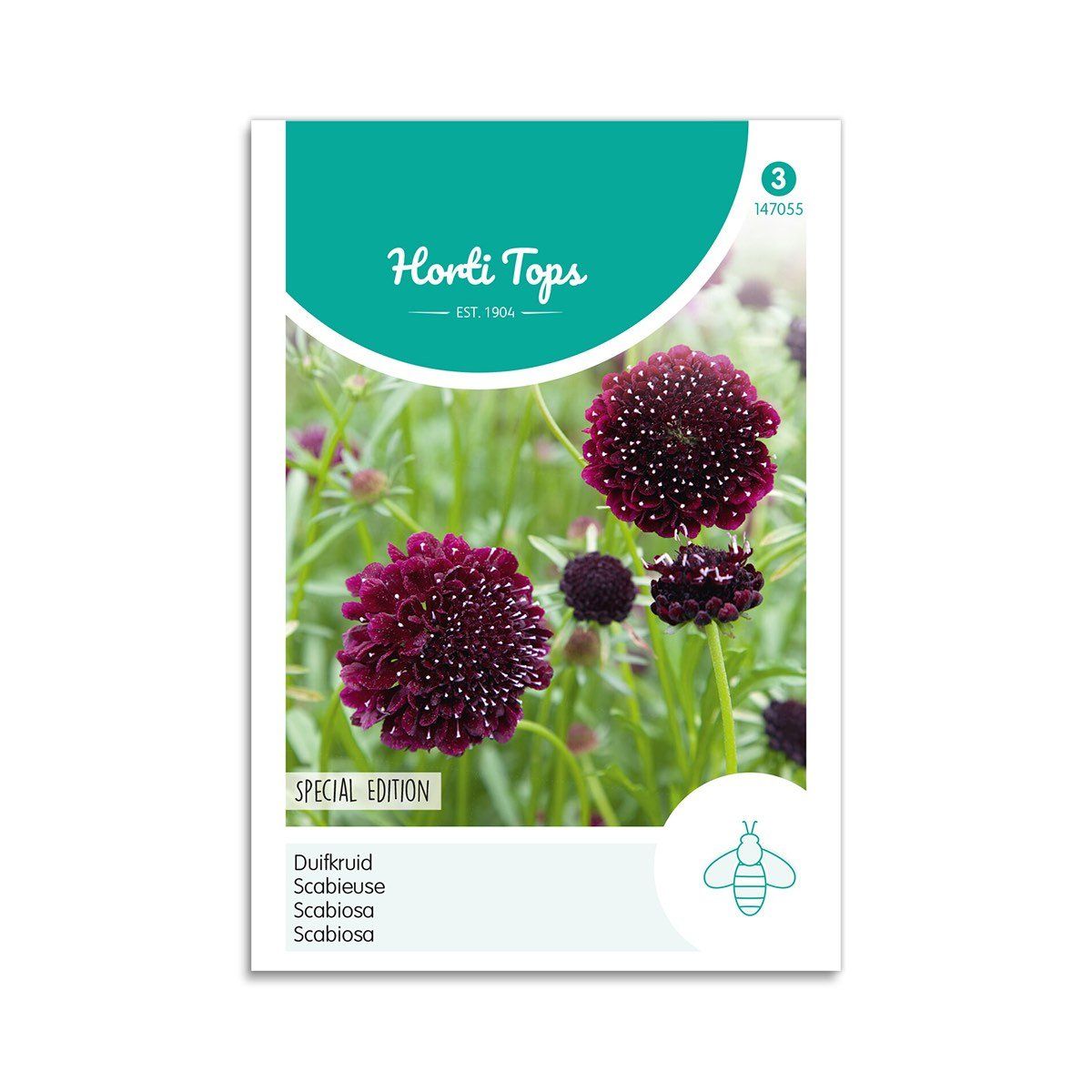 Enkeblomst frø "Deep Purple" - Horti Tops