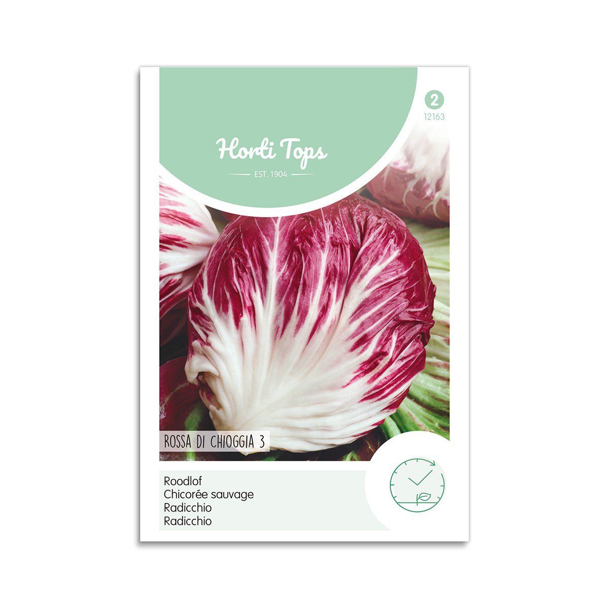 Radicchio frø "Rossa Di Chioggia 3" - Horti Tops