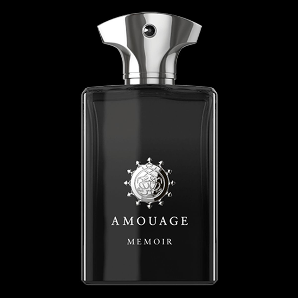 Amouage Memoir Man EDP (100 ml)