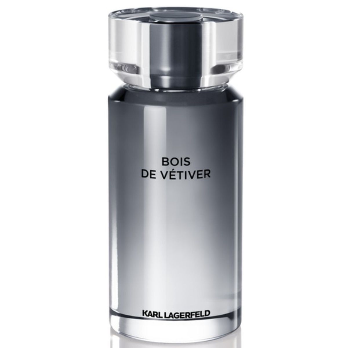 Karl Lagerfeld Bois De Vetiver Men EDT 100 ml