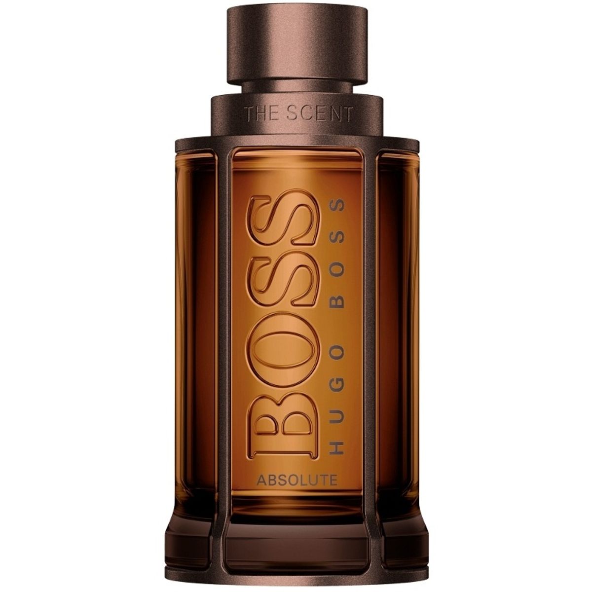 Hugo Boss The Scent Absolute For Him EDP 100 ml