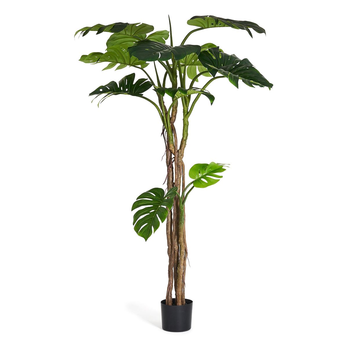 Monstera - Kunstig plante, H:180 cm