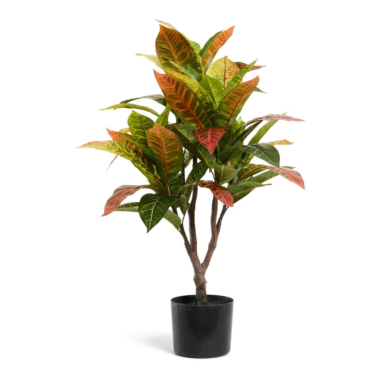 Kroton plante - Kunstig, H:75 cm