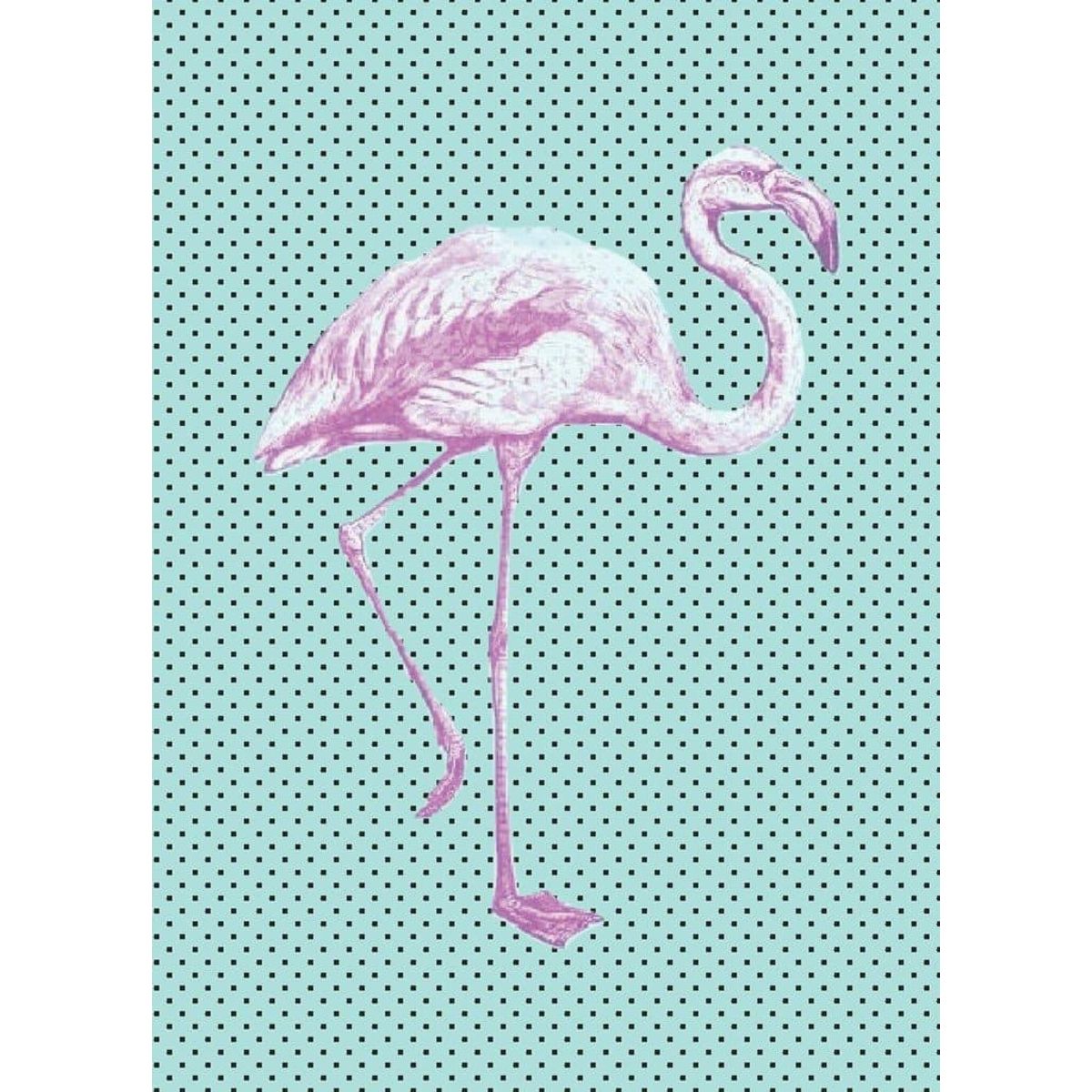 Flamingo A5