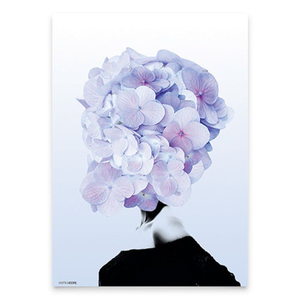 Hortensia #1 A3