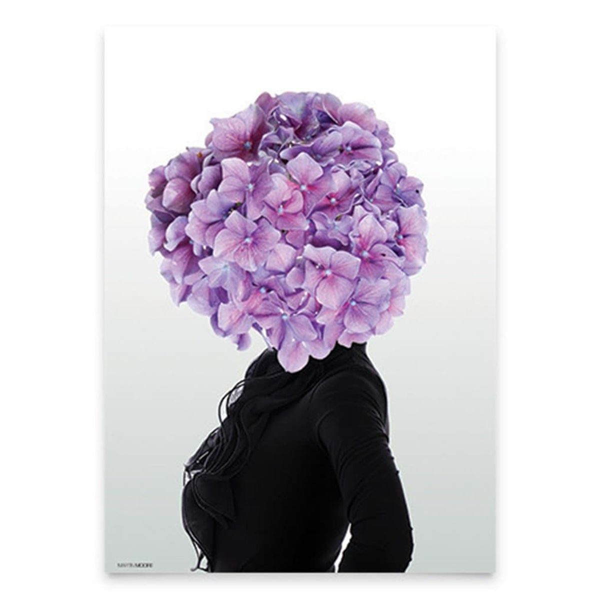 Hortensia #2 A3