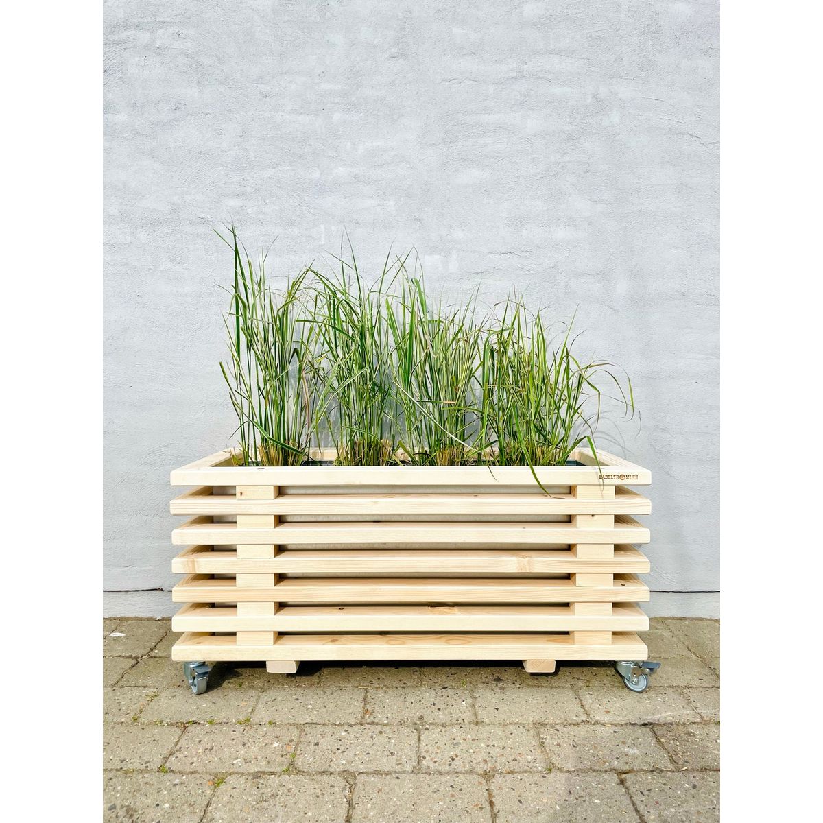 Luxus Plantekasse af Nye Traller | 95 cm / 43 cm (7 lægter)