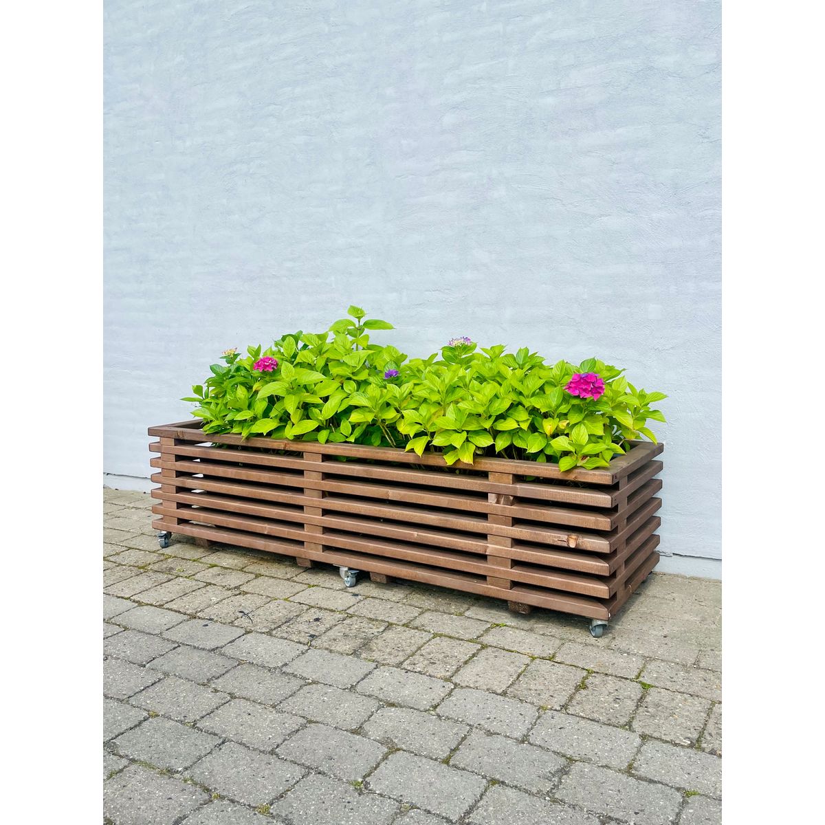 Plantekasse af Traller | Brunbejdset | 170 cm / 56 cm (9 Lægter)