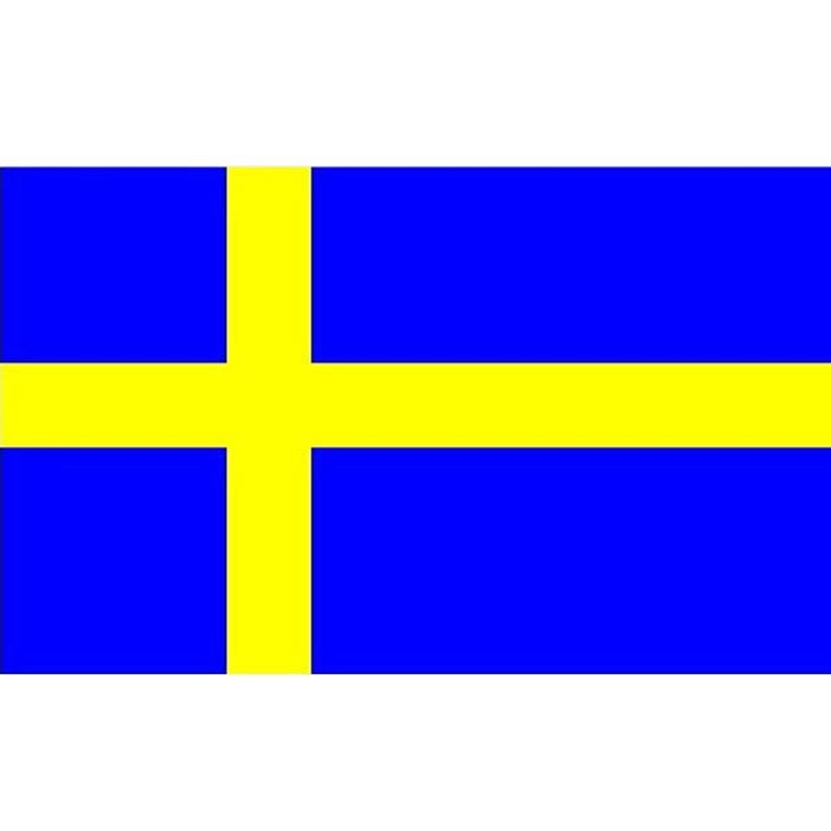 Svensk flag - 90x150 cm.