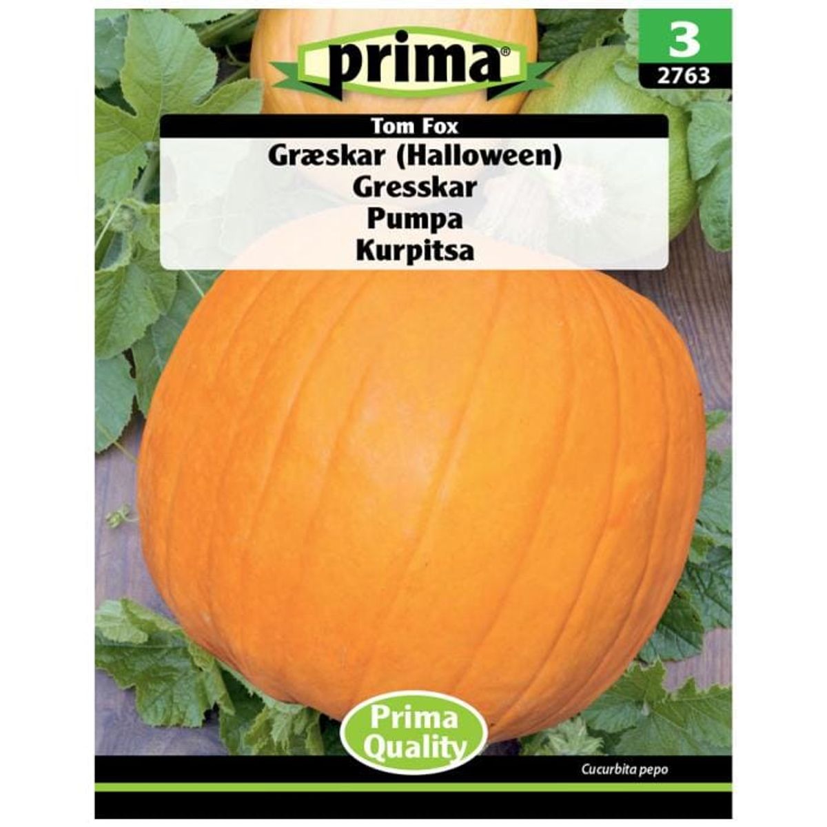 Prima - ® Græskar (Halloween)