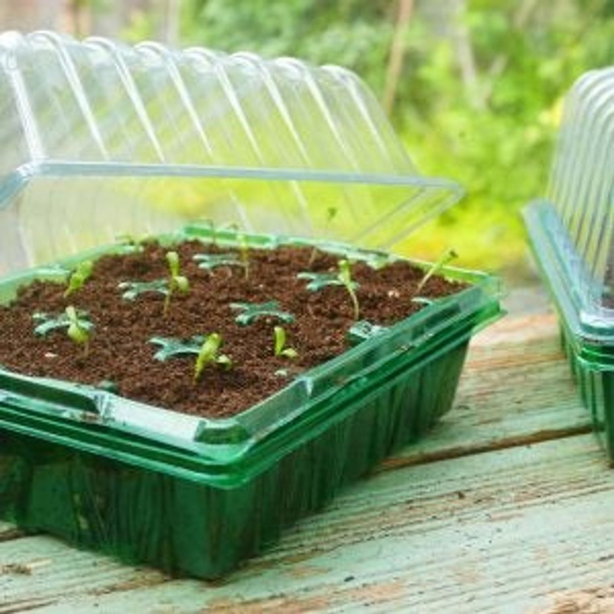 Gardman - Gro-sure Visiroot Propagator Set