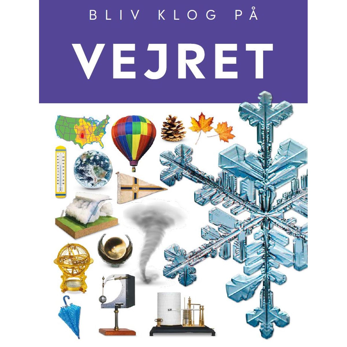 Vejret