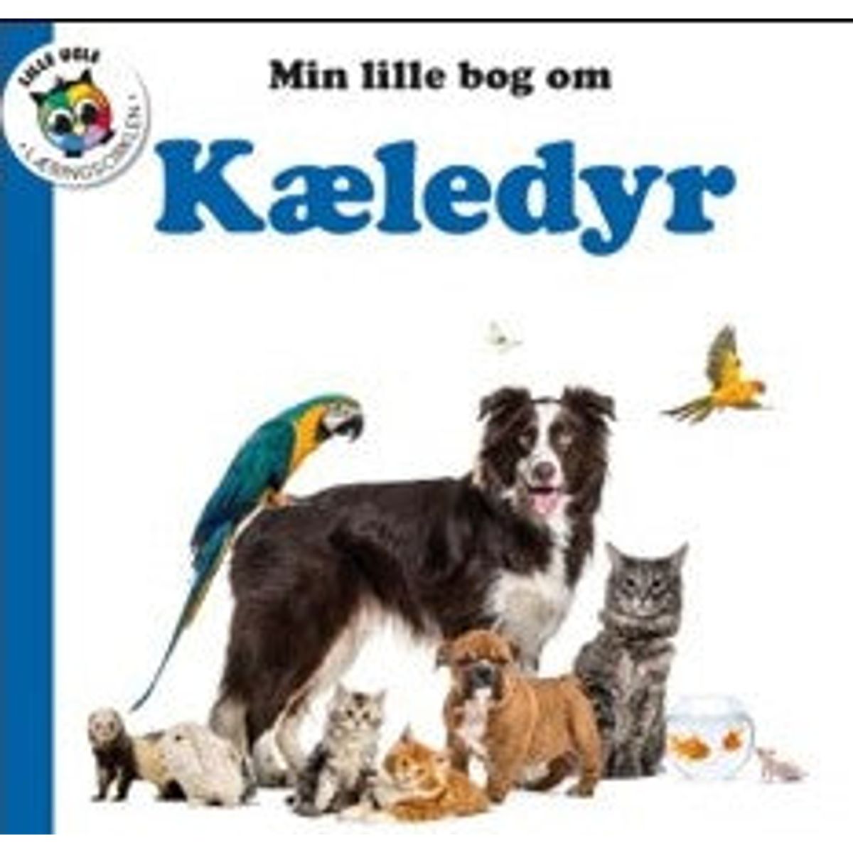 Kæledyr