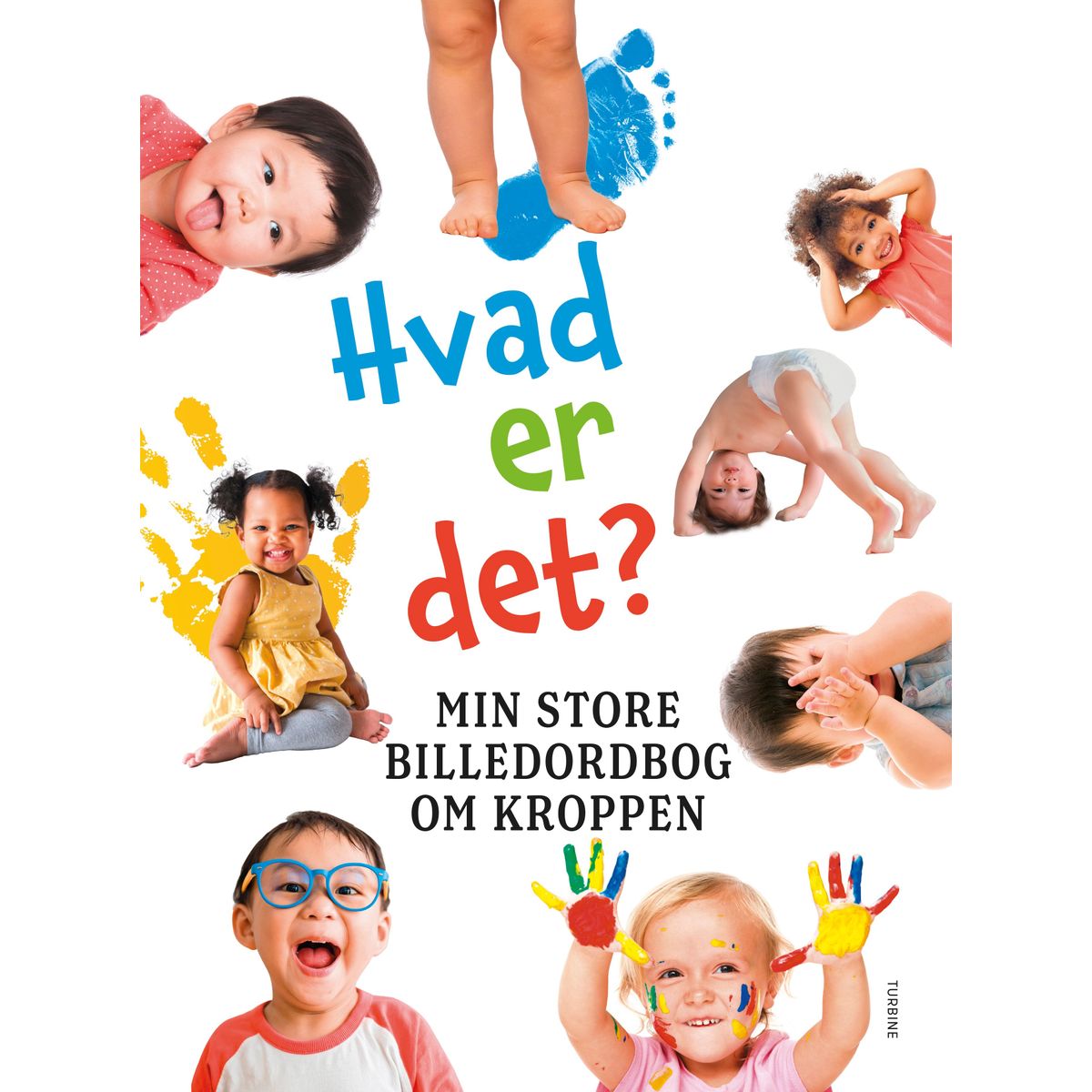 Hvad er det? Min store billedordbog om kroppen