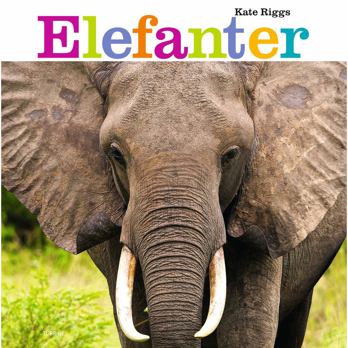 Elefanter