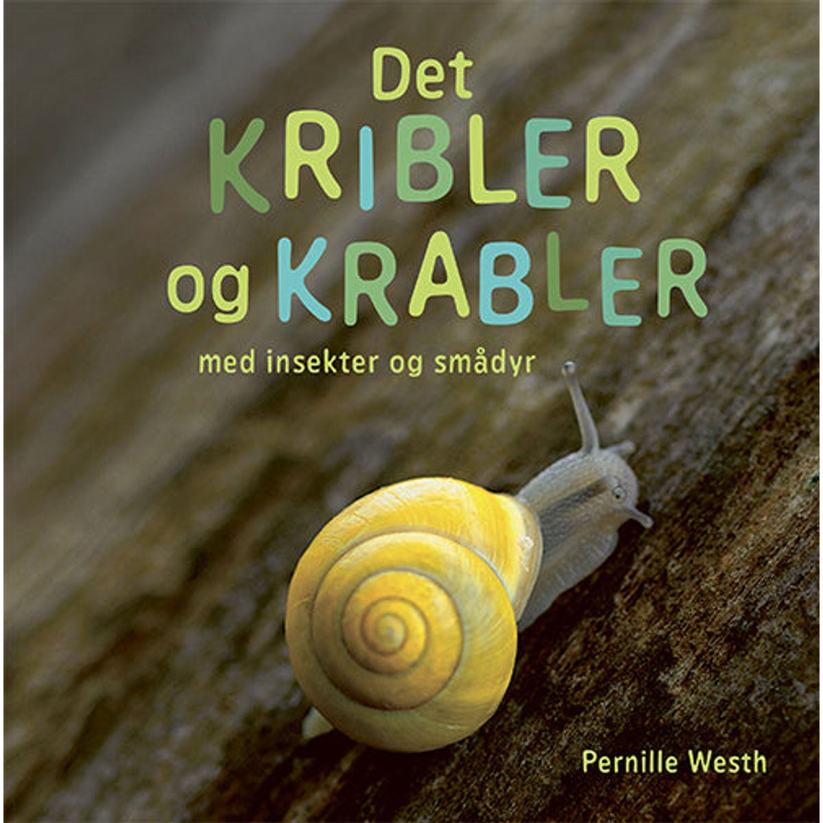 Det kribler og krabler med insekter og smådyr