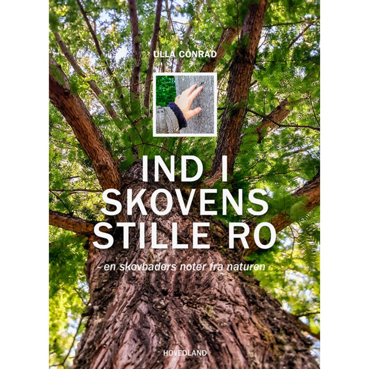 Ind i skovens stille ro