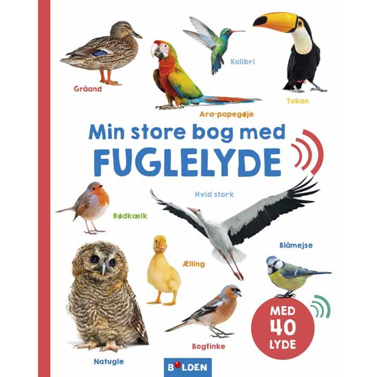 Min store bog med fuglelyde