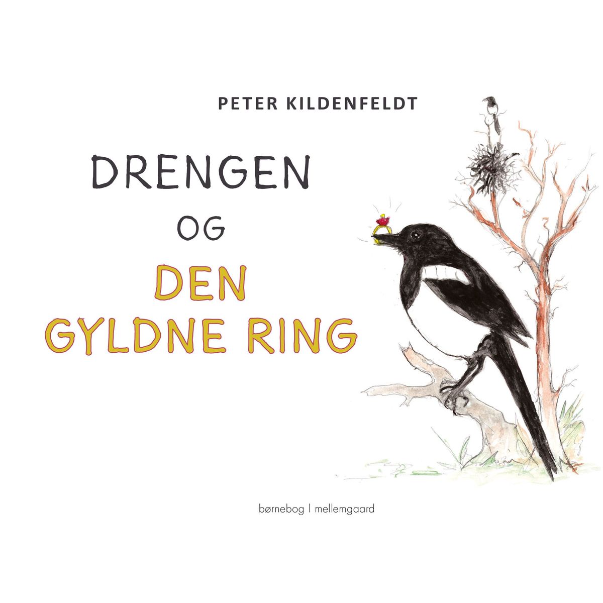 Drengen og den gyldne ring