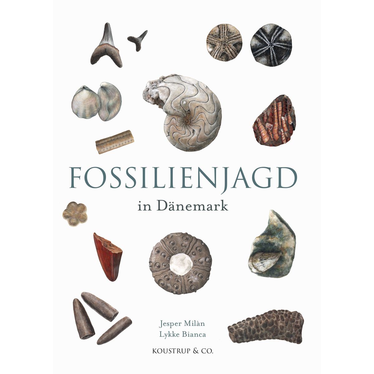 Fossilienjagd in Dänemark