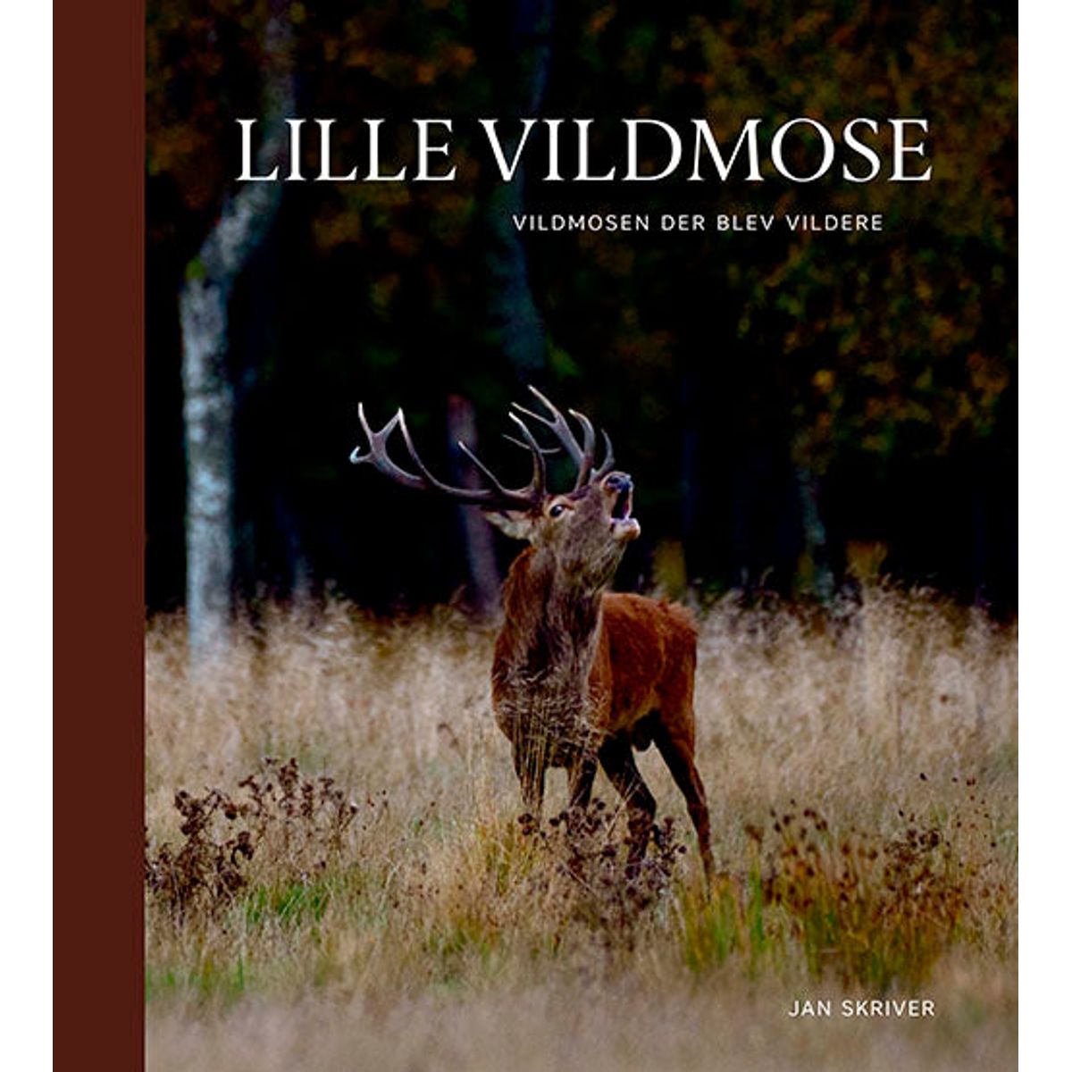 Lille Vildmose