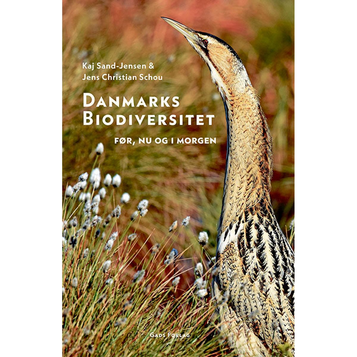 Danmarks biodiversitet