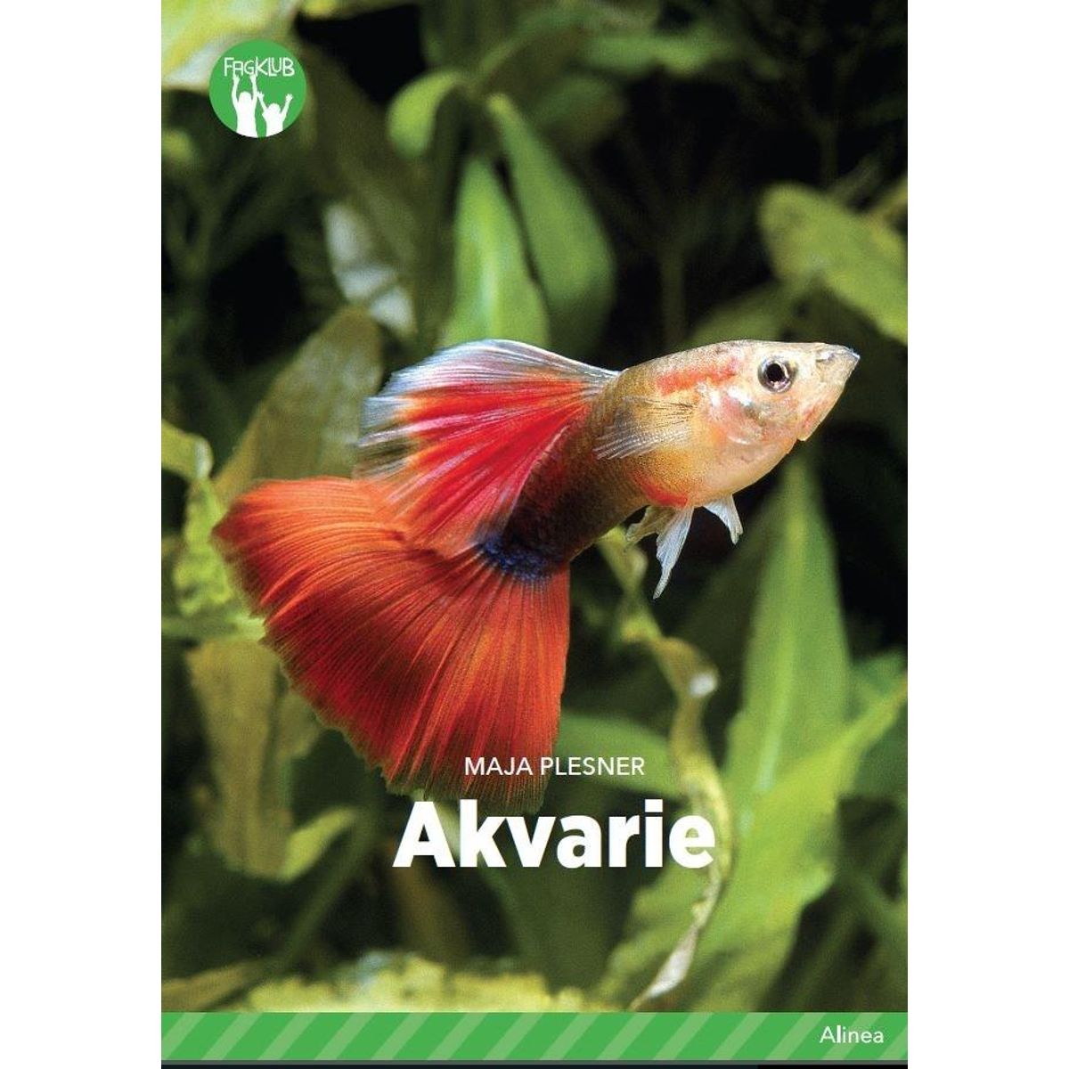 Akvarie, Grøn Fagklub