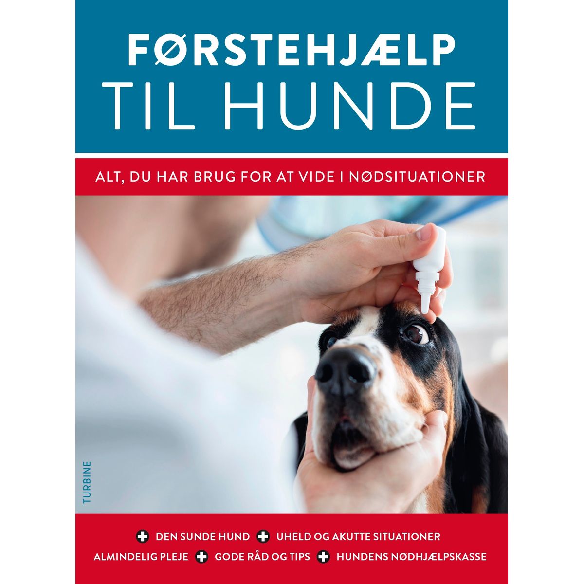 Førstehjælp til hunde