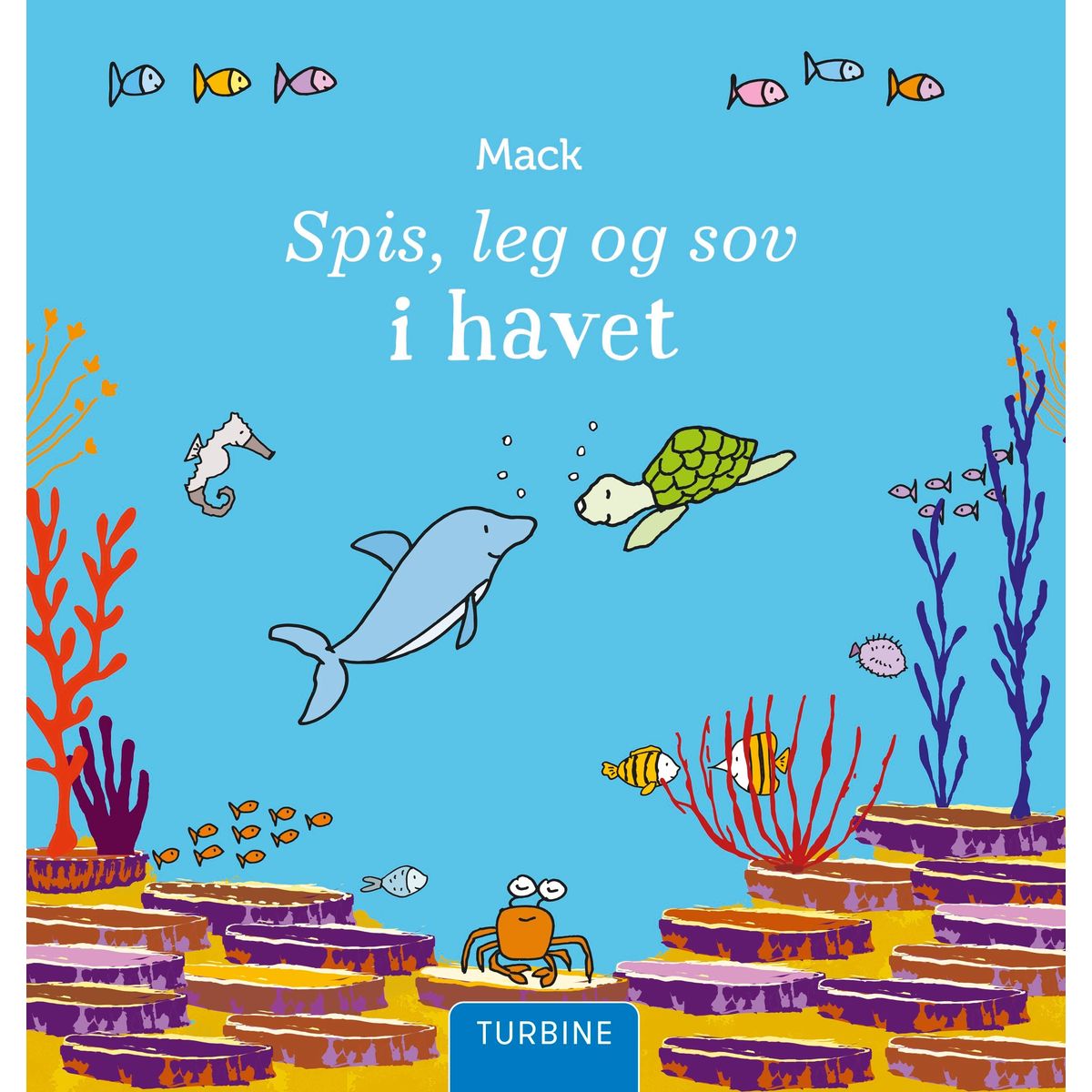 Spis, leg og sov i havet