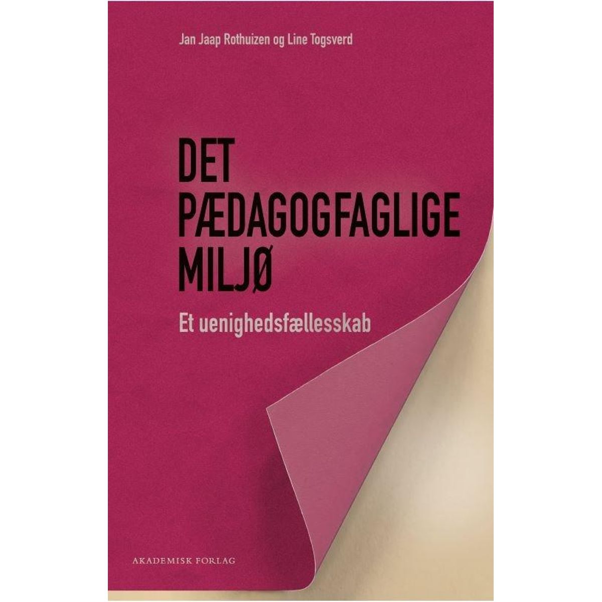 Det pædagogfaglige miljø