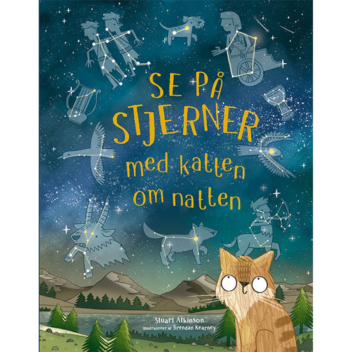 Se på stjerner med katten om natten