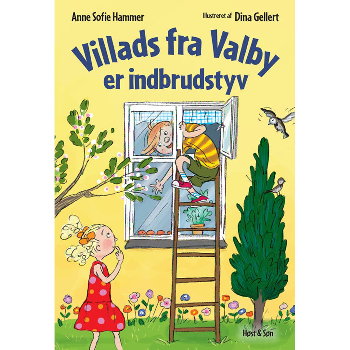 Villads fra Valby er indbrudstyv