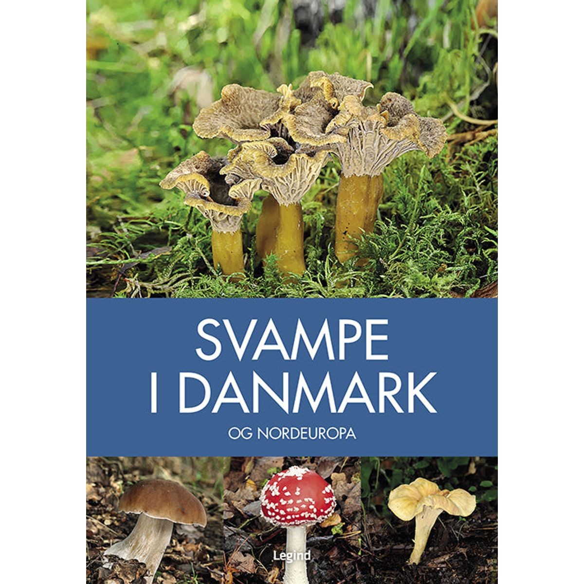 Svampe i Danmark