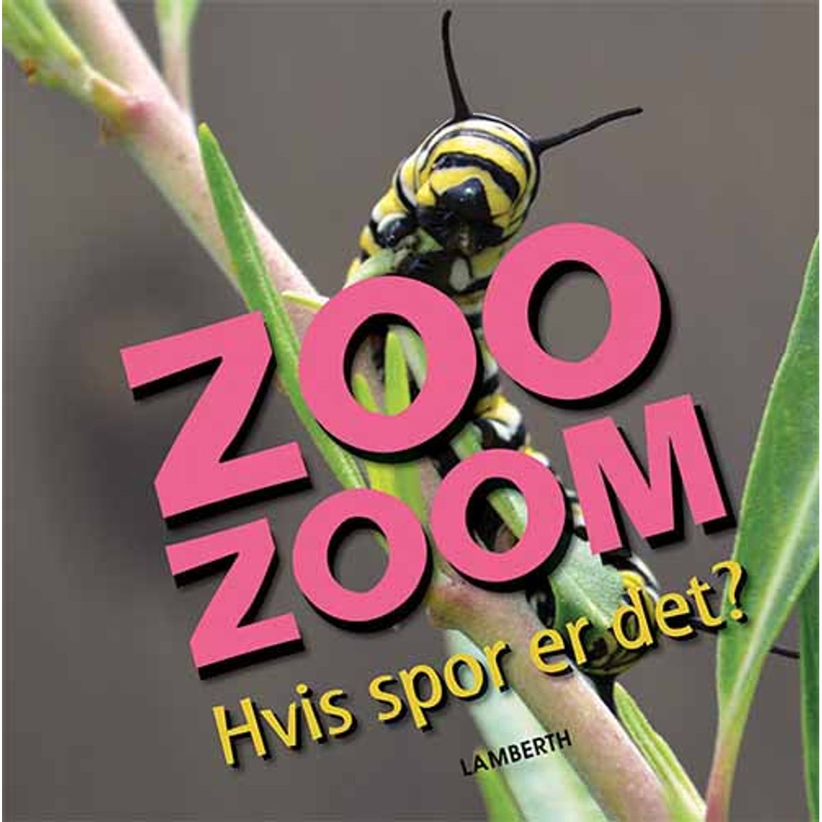 Zoo-Zoom - Hvis spor er det?