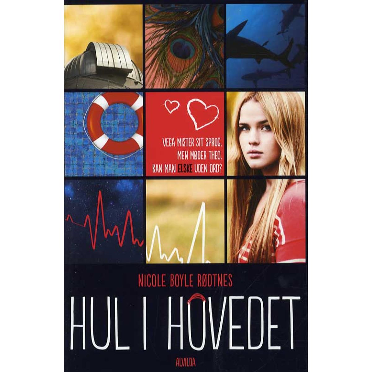 Hul i hovedet