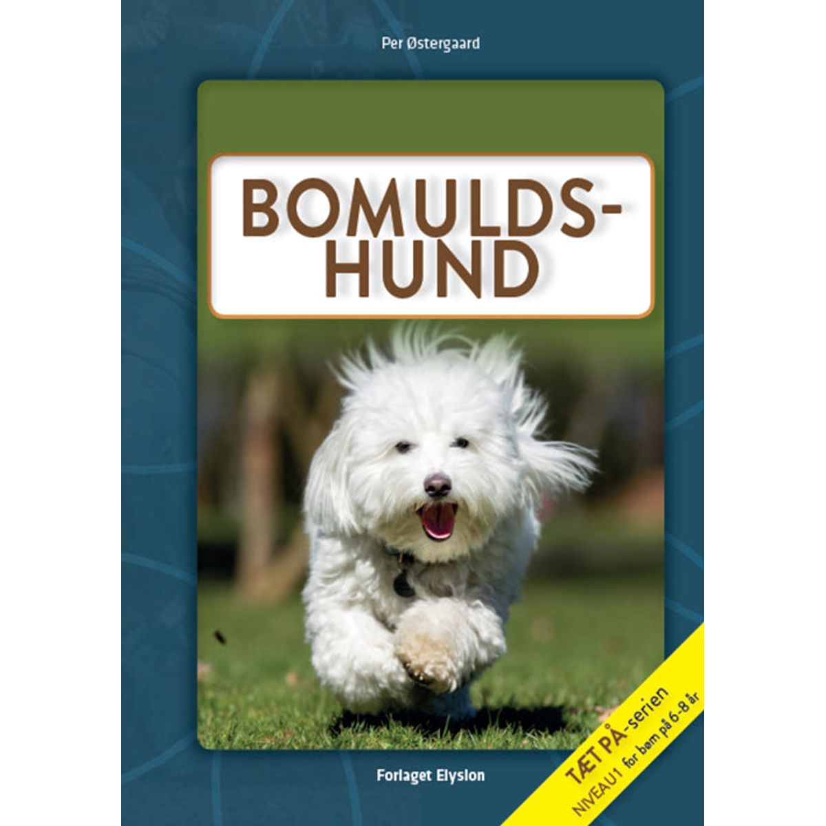 Bomulds-hund