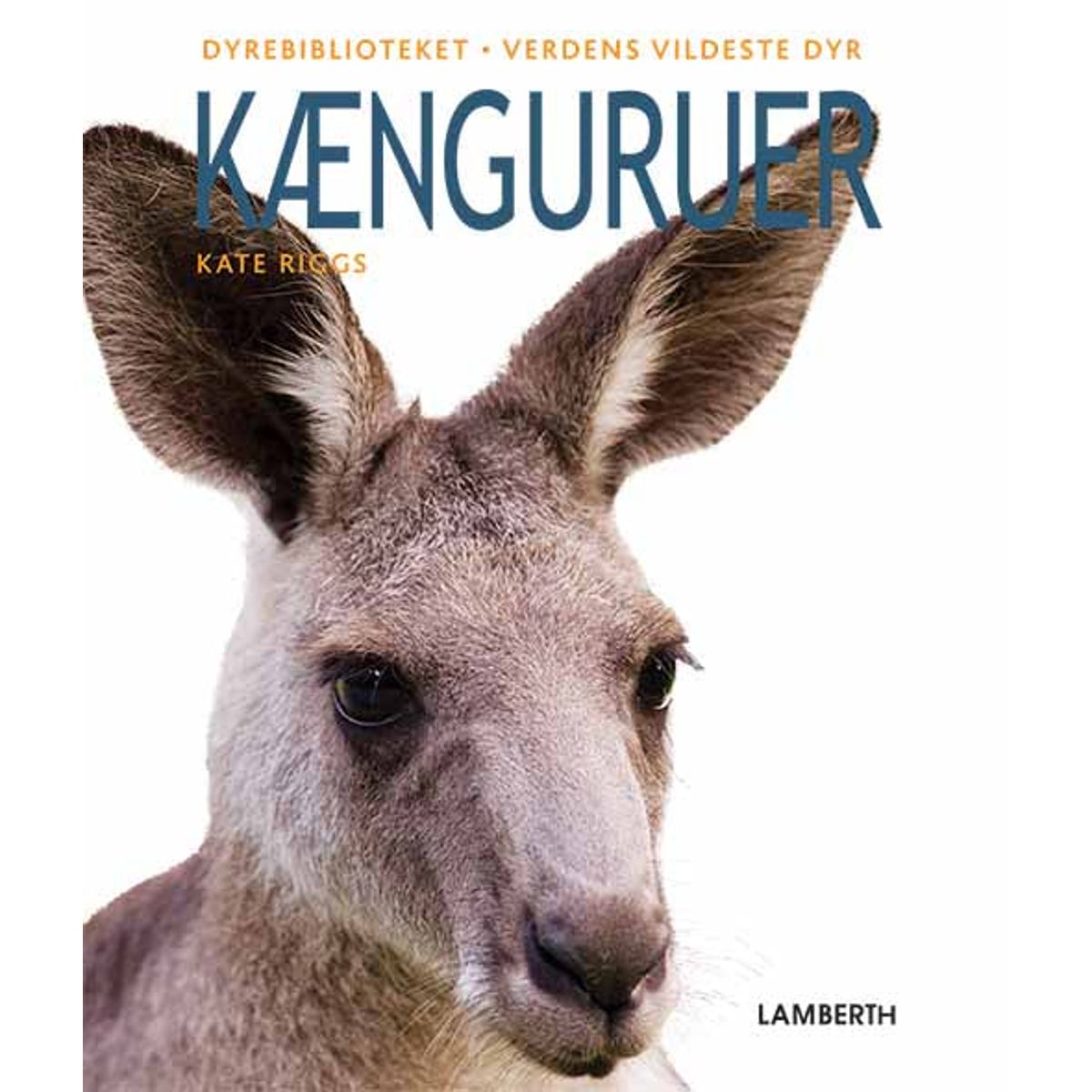 Kænguruer