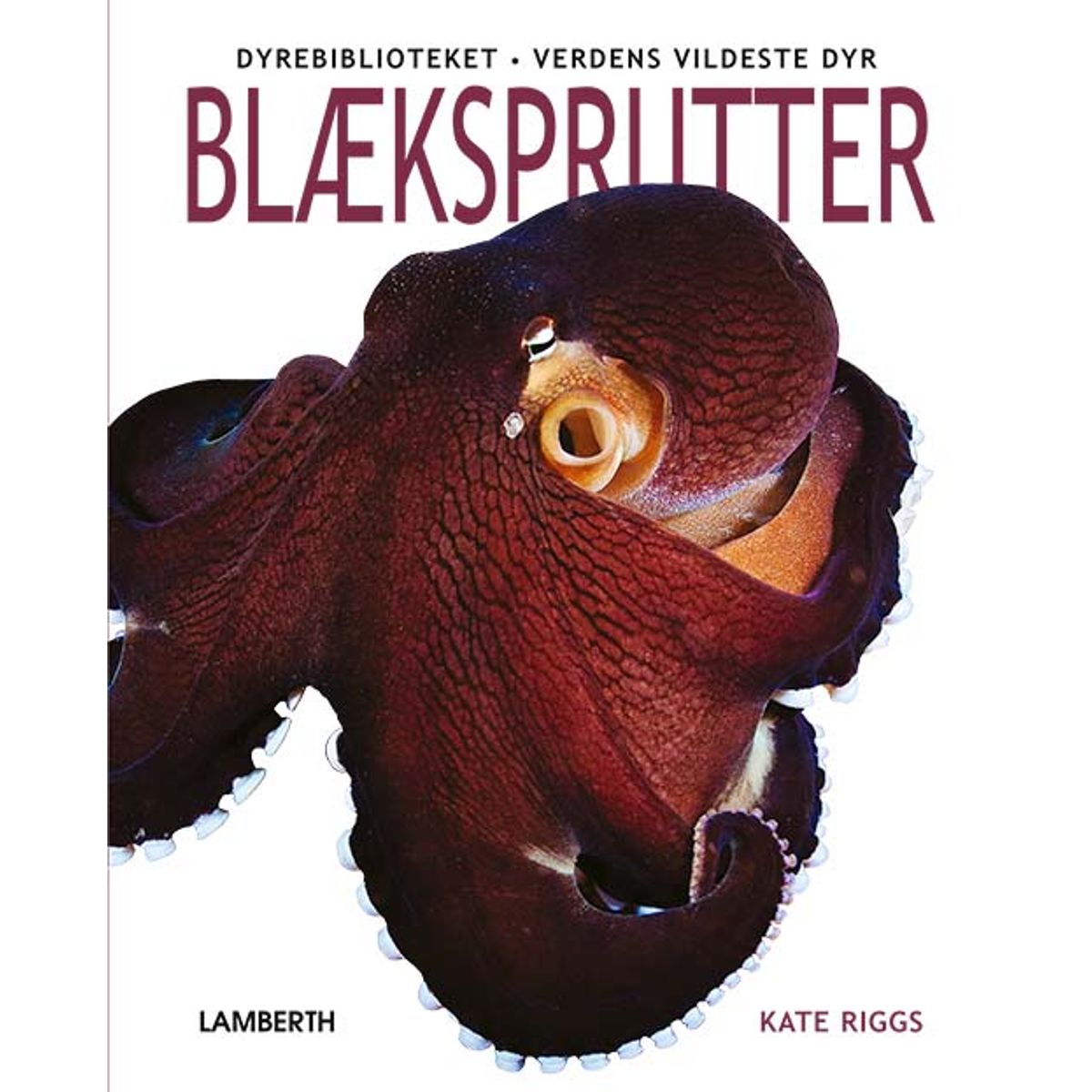 Blæksprutter