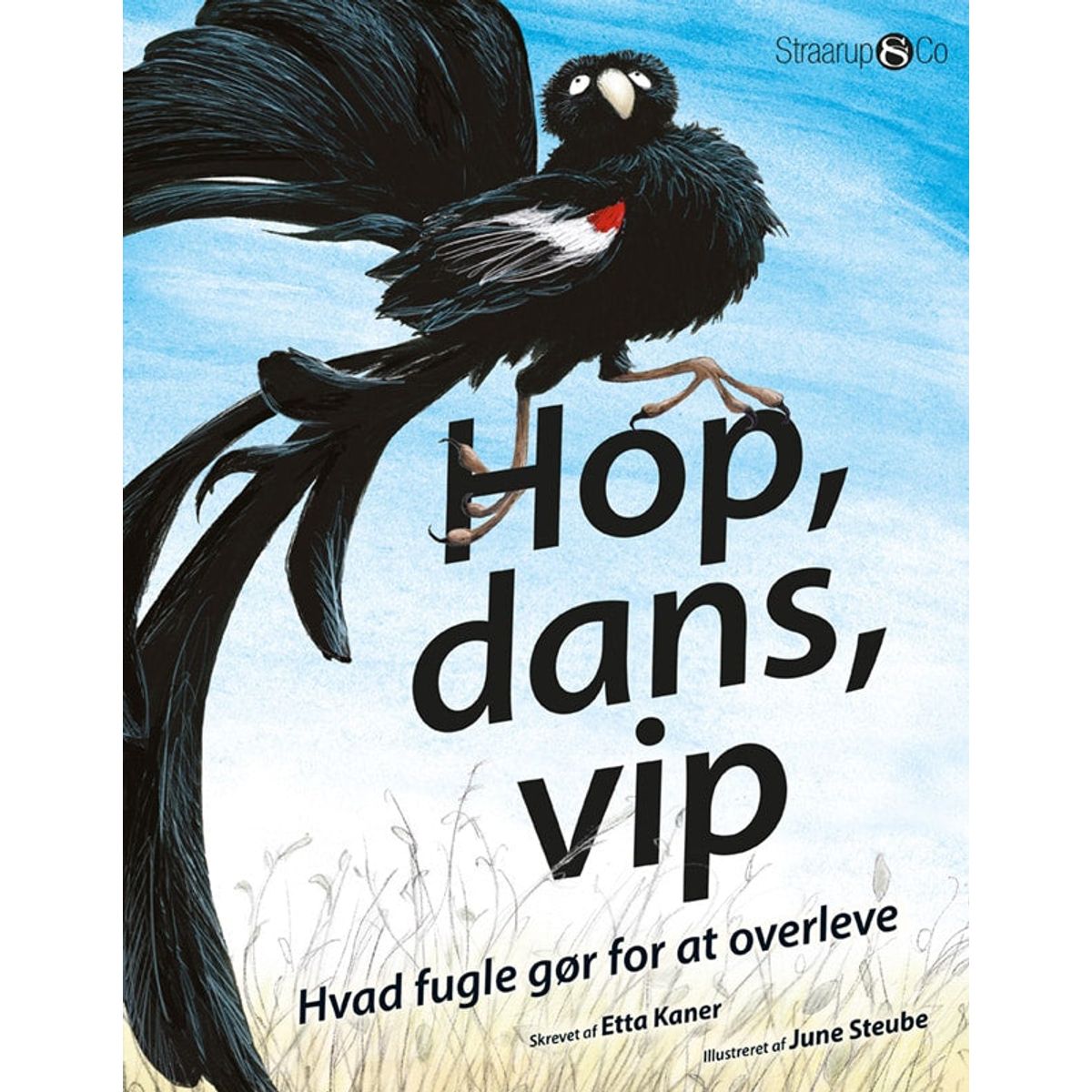 Hop, dans, vip