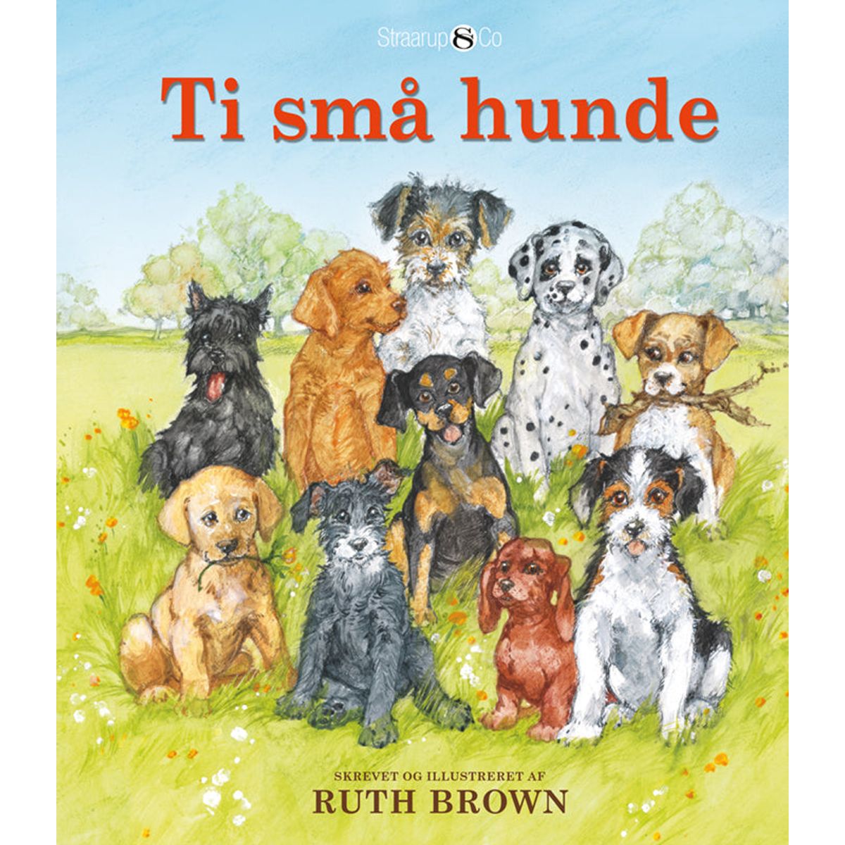 Ti små hunde