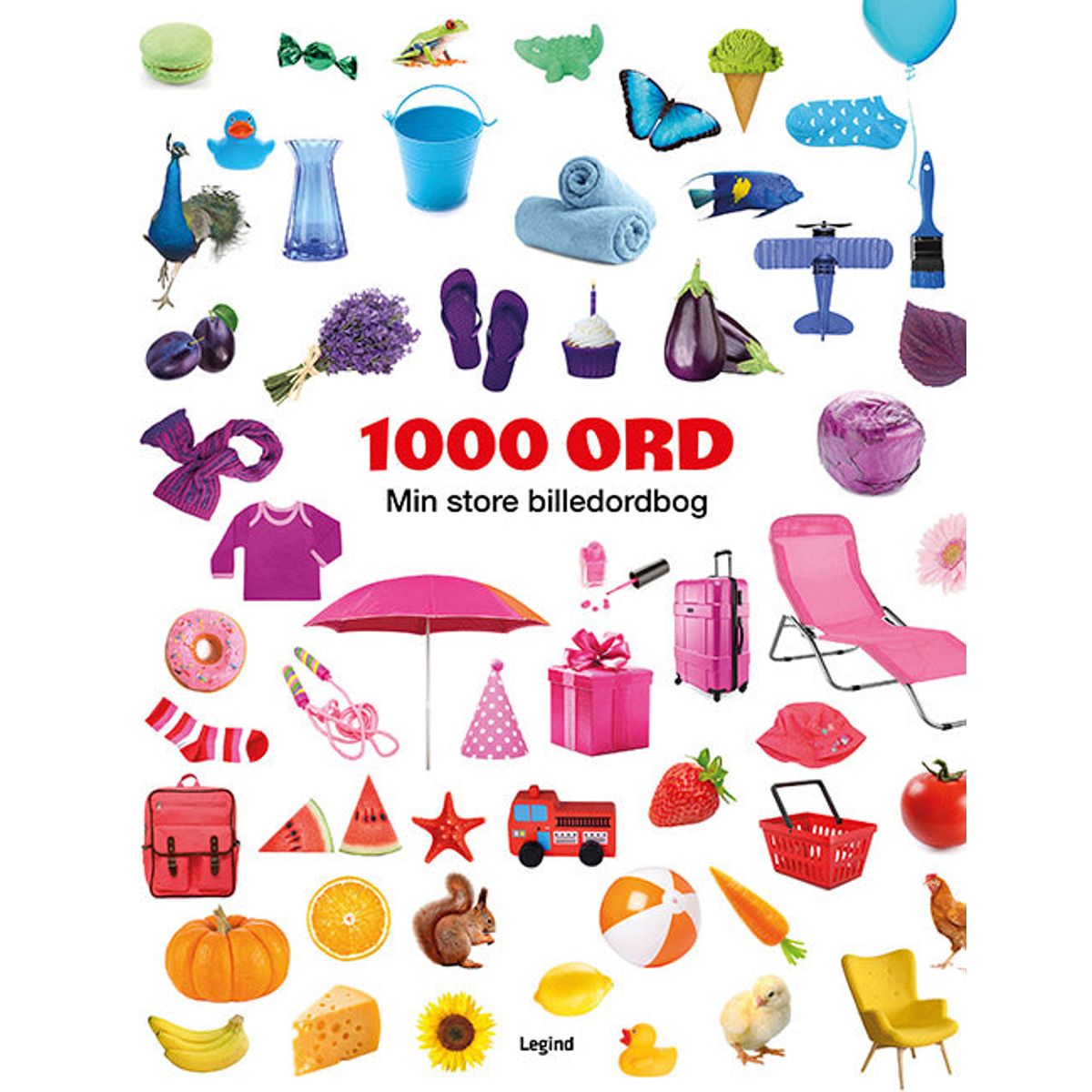 1000 ord - Min store billedordbog