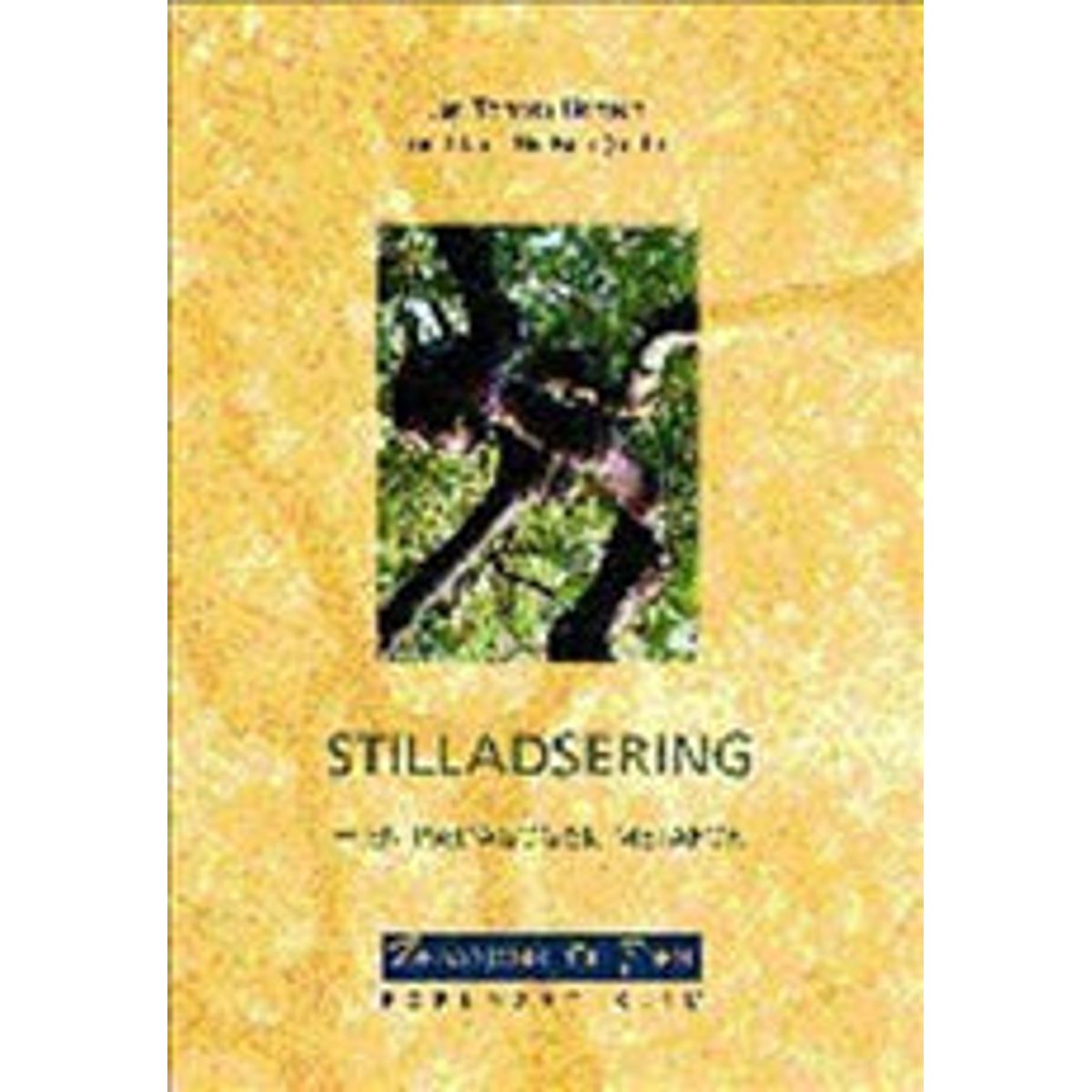 Stilladsering - en pædagogisk metafor