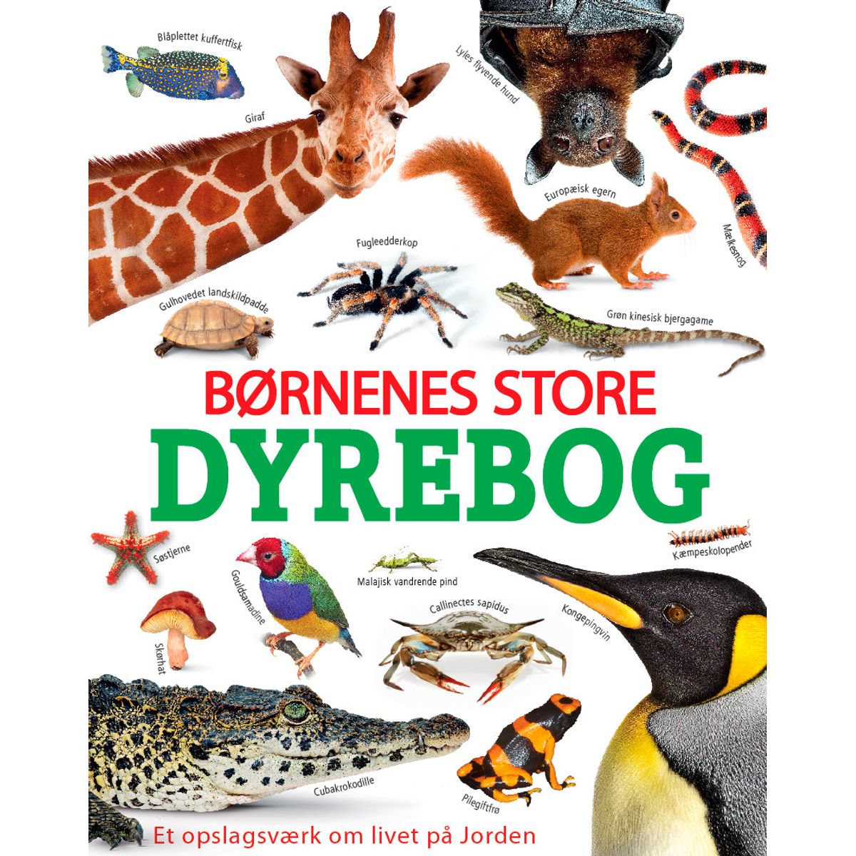 Børnenes store dyrebog