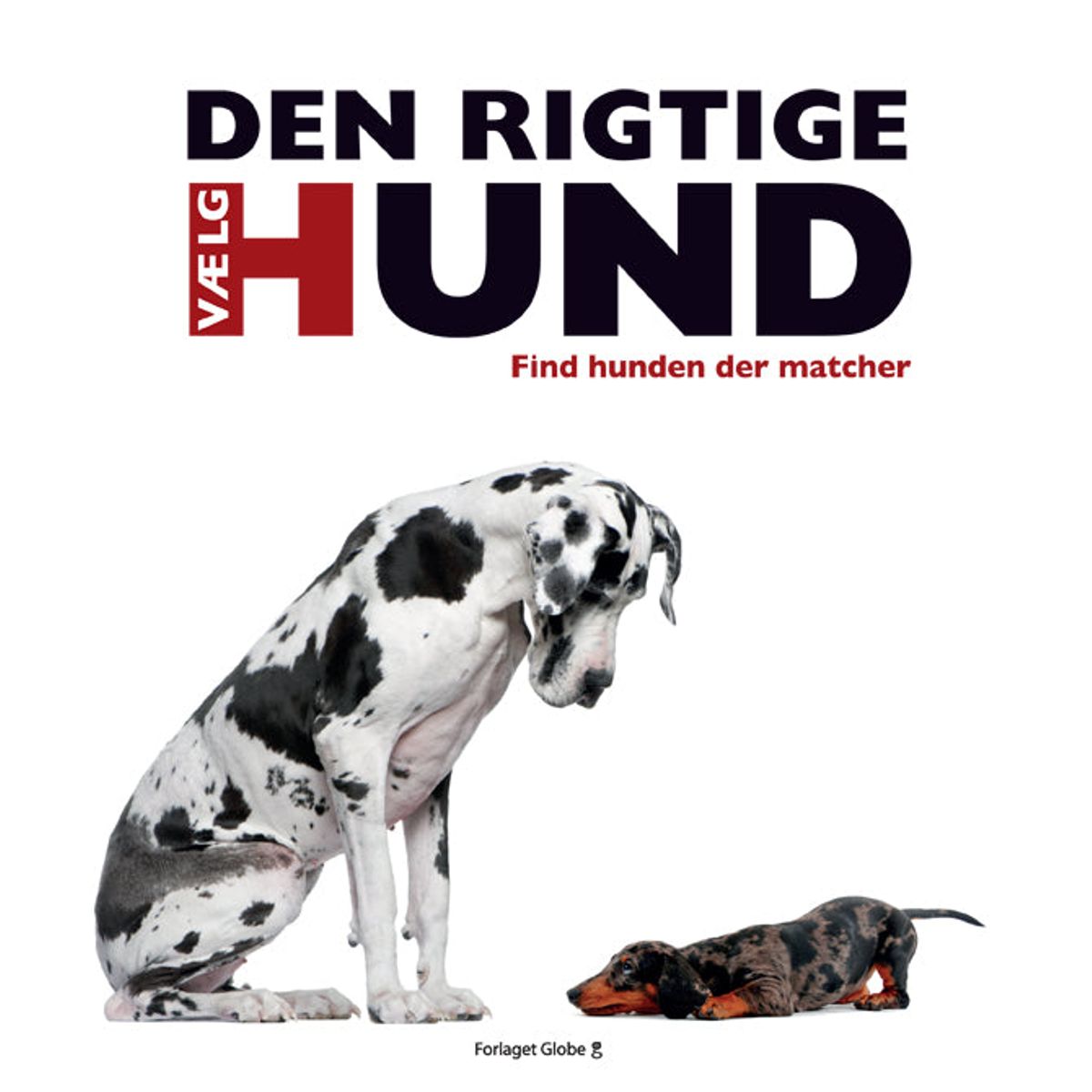 Vælg den rigtige hund