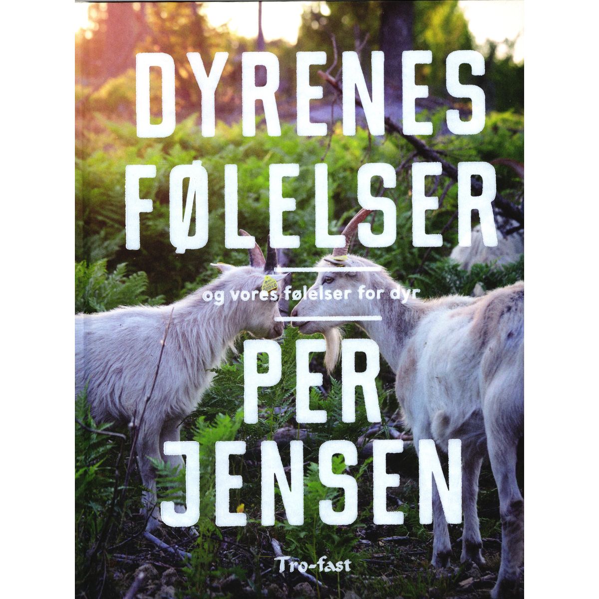 Dyrenes følelser og vores følelser for dyr