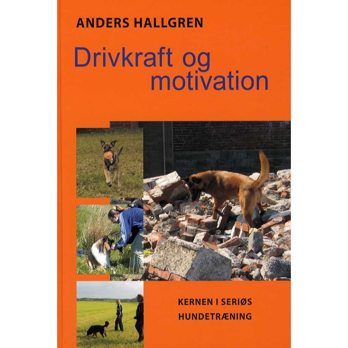 Drivkraft og motivation